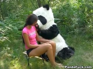 Xxx movie in the woods with a huge toy panda